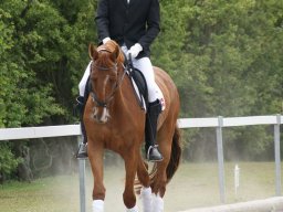 181490_10150929547108585_740030622_n_web